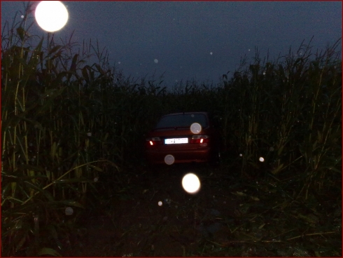 Nissan Primera (P11) 2.0 GT - Fahrzeugbild 4 von 16