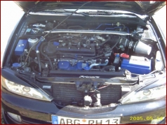 Zufallsbild - 5. Int. Nissantreffen in Neuruppin