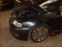 Zufallsbild - Speednation 2006