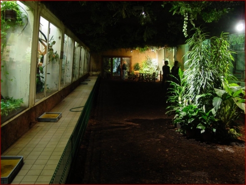 Nissan im Zoo & September Treffen 2007 - Albumbild 16 von 37