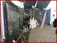 Grenzlandtreffen 2008 - Bild 7/15