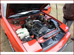 Vorschaubild des Albums - Nissan Treffen Pöhl 2008